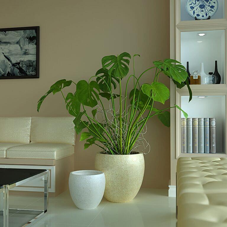 Hafif Beton Saksı İle Dekorasyon İpuçları