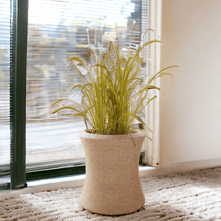 Hafif Beton Saksı İle Ev Dekorasyonu