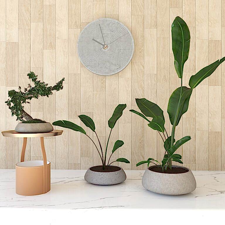 Hafif Beton Saksılar ile Mekânlarınıza Estetik Dokunuş