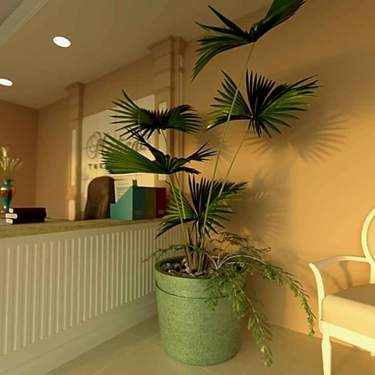 Beton Saksı 5 Avantaj