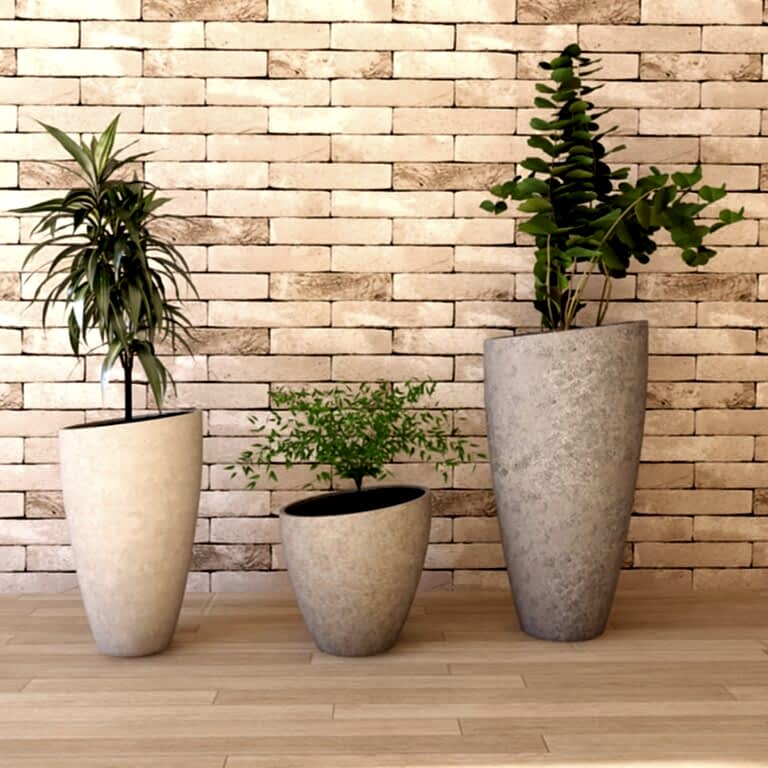 Saksı Sanatı: Mekânlarınızı Şıklıkla Tamamlayın