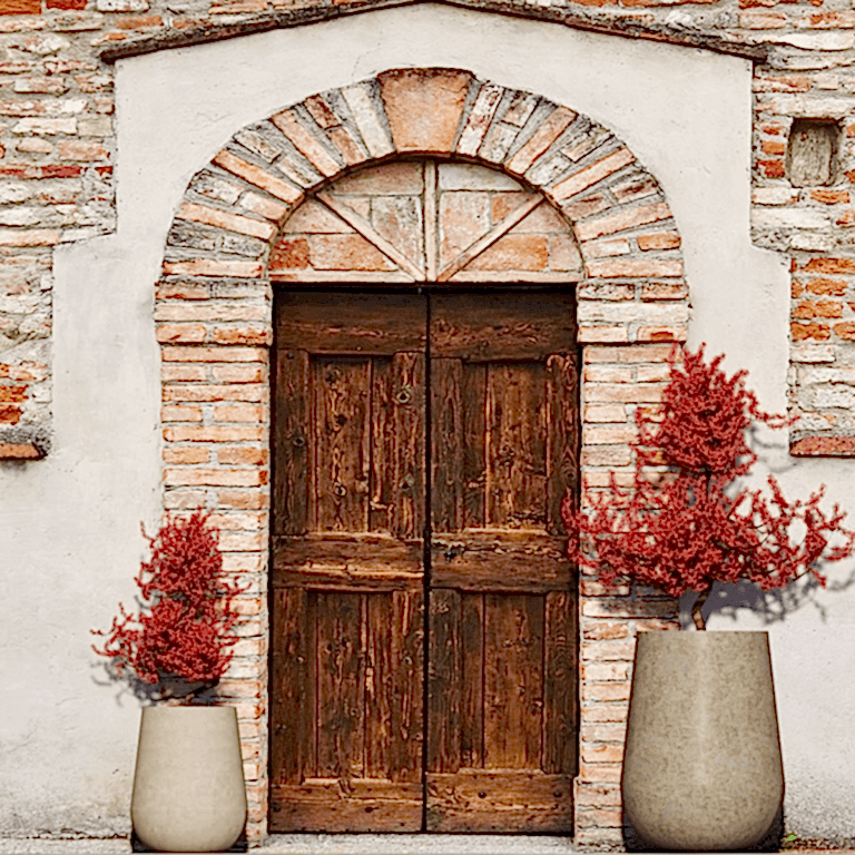 Modern ve Klasik Saksı Sanatı: Beton Saksılarla Doğanın Zarafeti